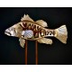 Cymbal of Pisces Mike B Davies 1